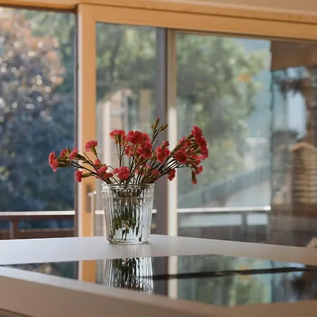 Meinnaturgut Mit Sauna Apartment